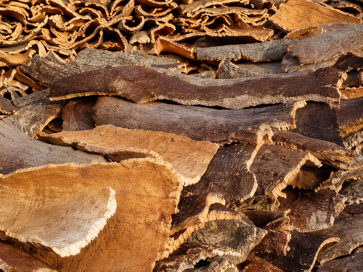 Cork Processing – Where Tradition Meets Technology - 2
