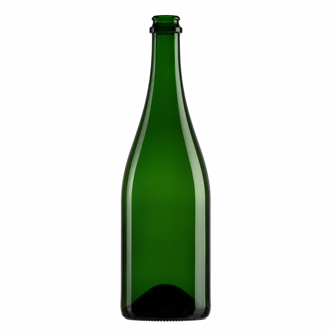 Standard Wine Bottles - 6